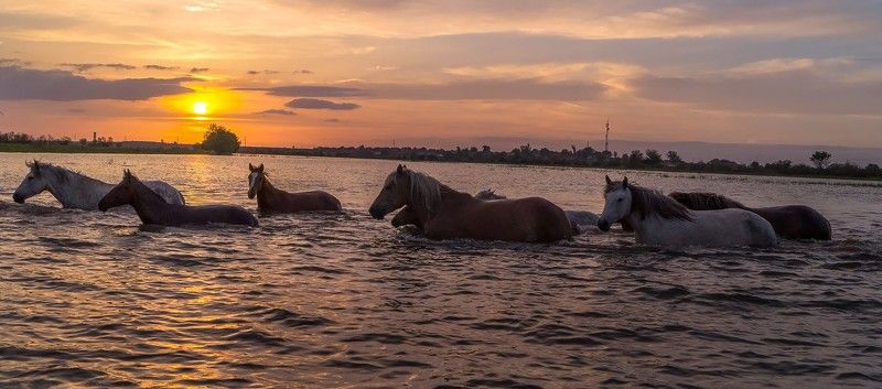 сирень украсила наличники окна, над речкой ива распустила косы, бредёт садами девочка-весна, клубятся белым дымом абрикосы. ПОЛОВОДЬЕ ( закат)photo preview