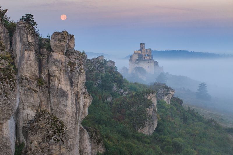 mirów,landscape,zamek,castle,polska,poland,the fog,mgła,fog,krajobraz,ruiny,  The mystical landscape of Mirówphoto preview