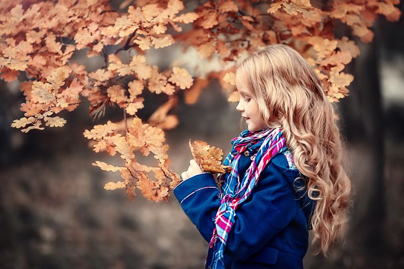 золотая осень сентябрь Вероникаphoto preview