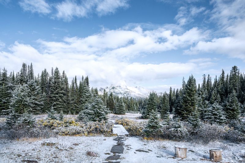 canada, bc, british columbia, mountain winter, snow, travel, landscape, alpine, forest, bridge, trail, nature, outdoor, canada, bc, british columbia, горная зима, снег, путешествия, пейзаж, альпийский, лес, мост, тропа, природа, на улице, Step outphoto preview
