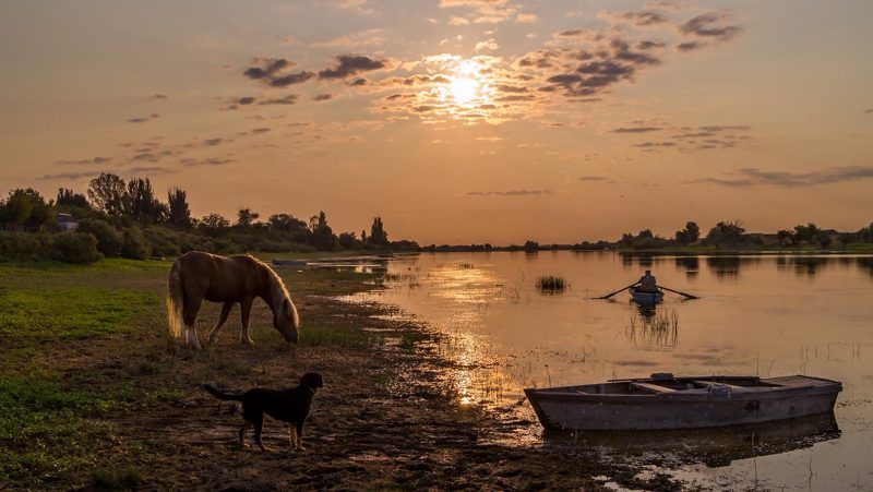 где-то притаилась по задворкам птиц неугомонных красота. отчего-то в пенье птиц всё чаще слышу деревень печальных голоса. ДЕРЕВЕНСКИЕ ЗАРИСОВКИphoto preview