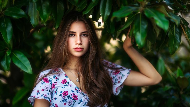portrait, brunette, beauty, girl,  in the shadowsphoto preview