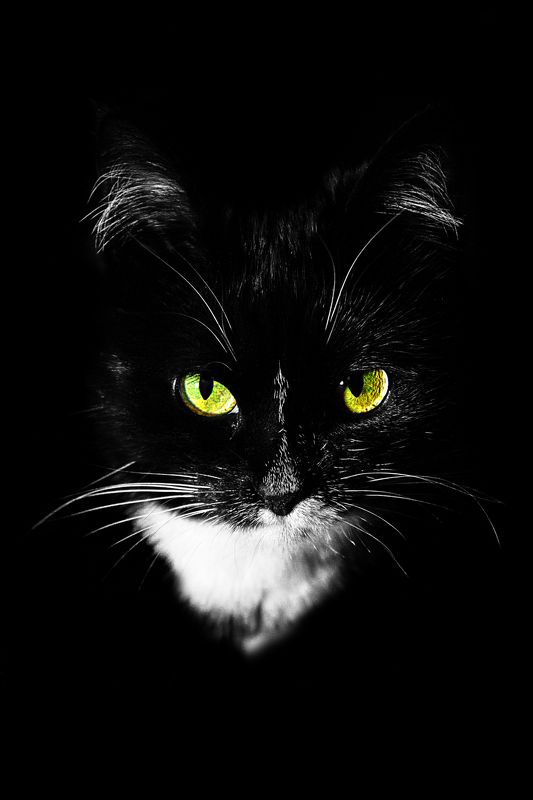 Взгляд...photo preview