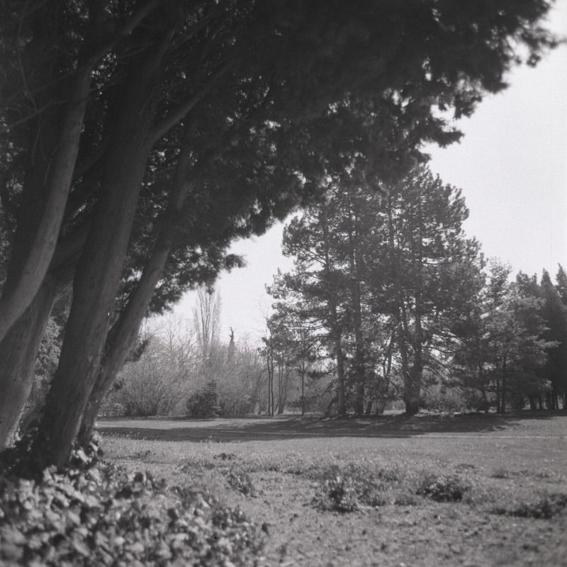 film, пленка, средний, формат, middle, format Parkphoto preview