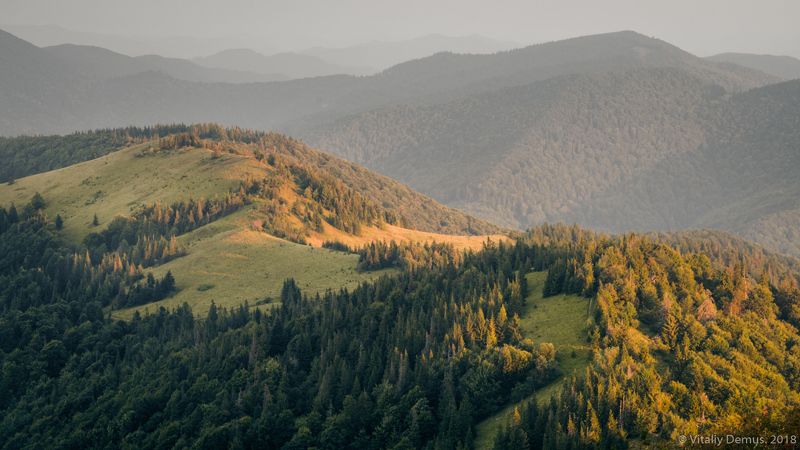 горы, лето, пейзаж, хребет, зеленый, лес, рассвет, боковой свет, утро, солнечный, карпаты, панорама, природа Утро в горах. Сколевские Бескиды. Карпаты.photo preview