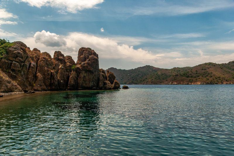 зубы драконаphoto preview