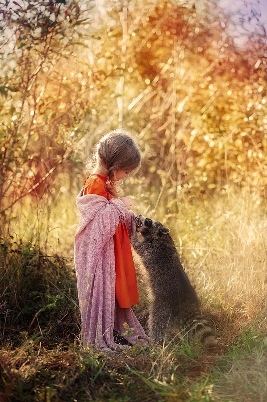 енот, девочка  друзьяphoto preview