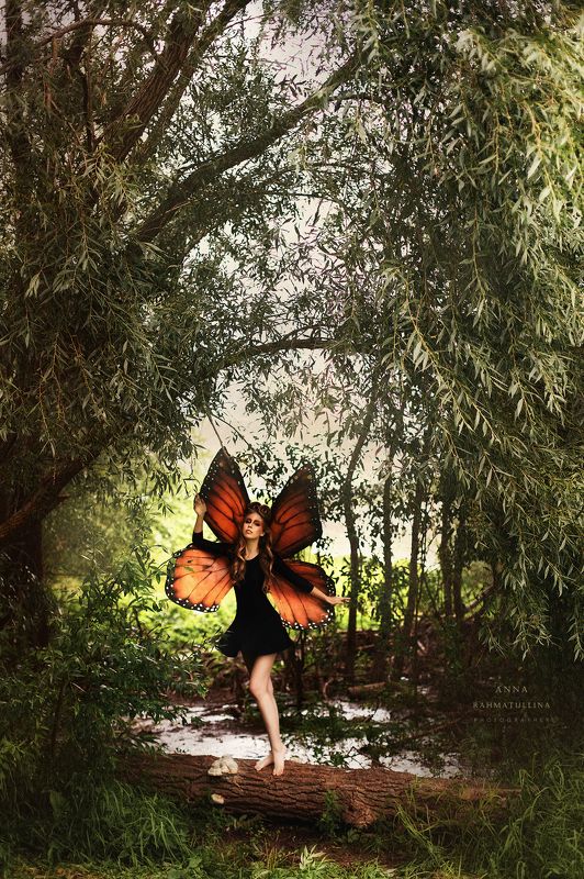 стилизованная съемка, бабочка, крылья бабочкаphoto preview