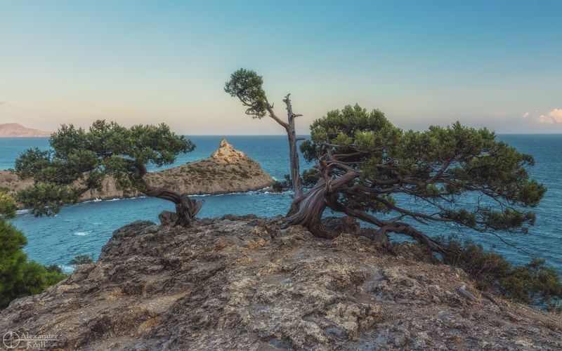 Капчик вечерний...photo preview