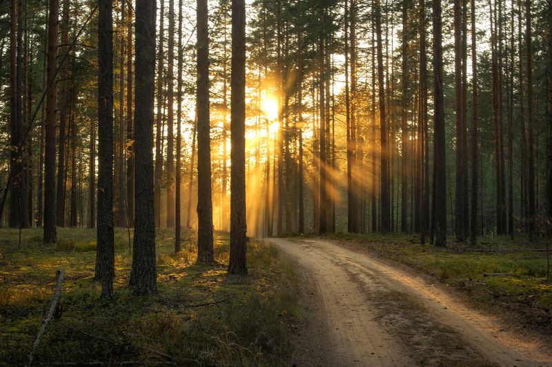 пейзаж фото превью