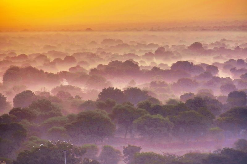 Sadar Gar Morning-1photo preview