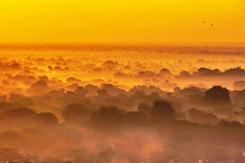 Sadar Gar Morning-2photo preview