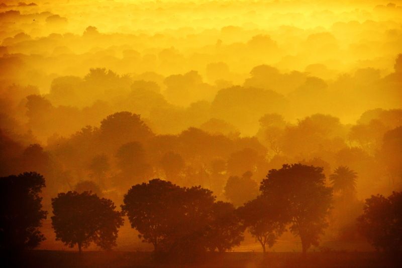 Sadar Gar Morning-3photo preview