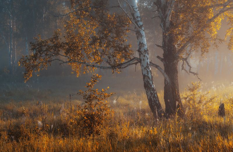 Под крылом осениphoto preview