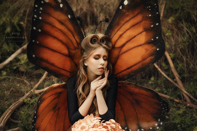 стилизованная съемка, бабочка, крылья бабочкаphoto preview