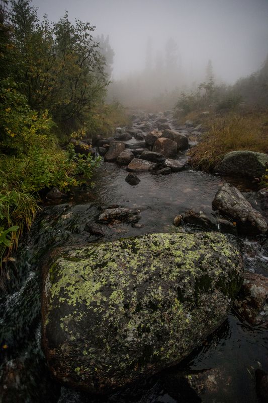 Утро в Горной Шории photo preview