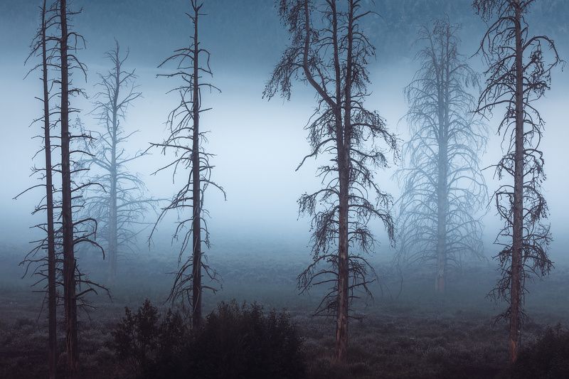 Carry Onphoto preview