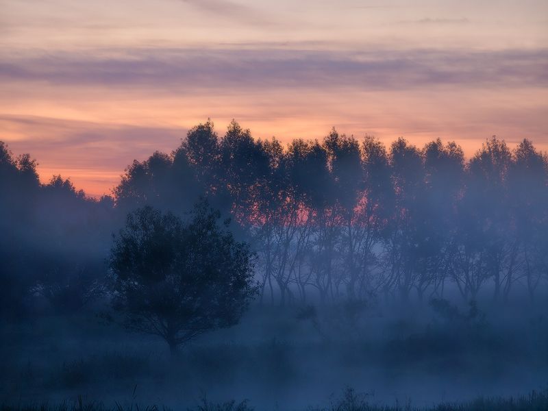 Из ночи в день...photo preview