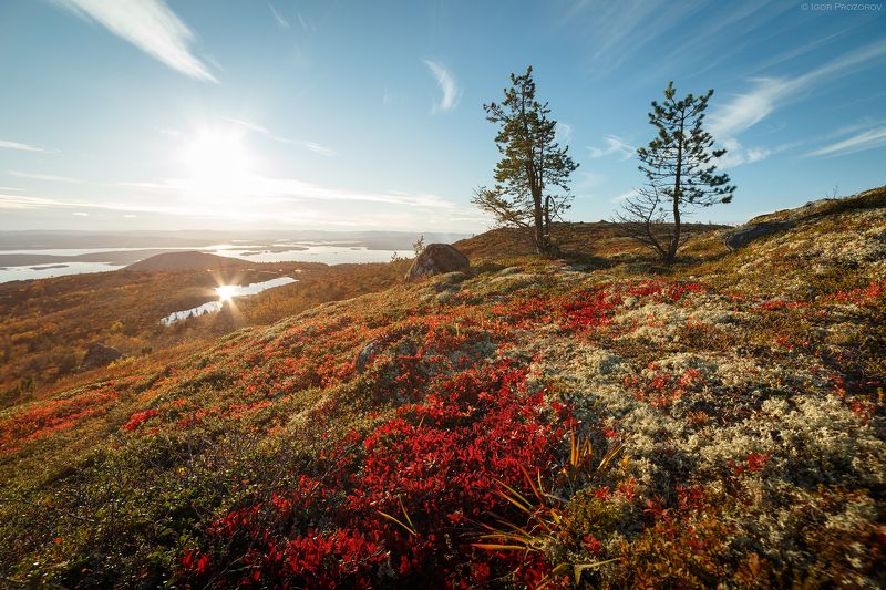 кольский полуостров, кандалакша, осень, белое море Осень в сопках Кольского полуостроваphoto preview