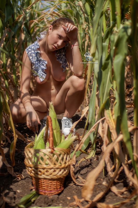 art nu,  photo, photography, eroticism, sexual, artistic erotica, girl, naked body, nude, nu, топлес, фотохудожники, художественная фотография, ретушь, эротика, ню, обнажённое тело, сексуальность, фотосессии в краснодаре В кукурузеphoto preview