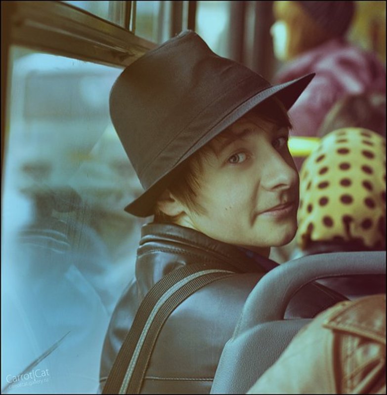 carrotcat photo preview