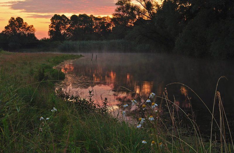 тишина, река, рассвет photo preview