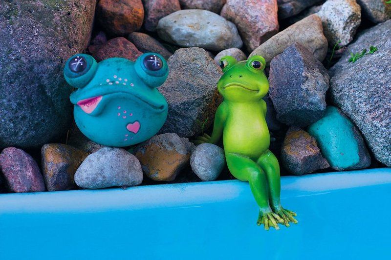 капельку безумияphoto preview