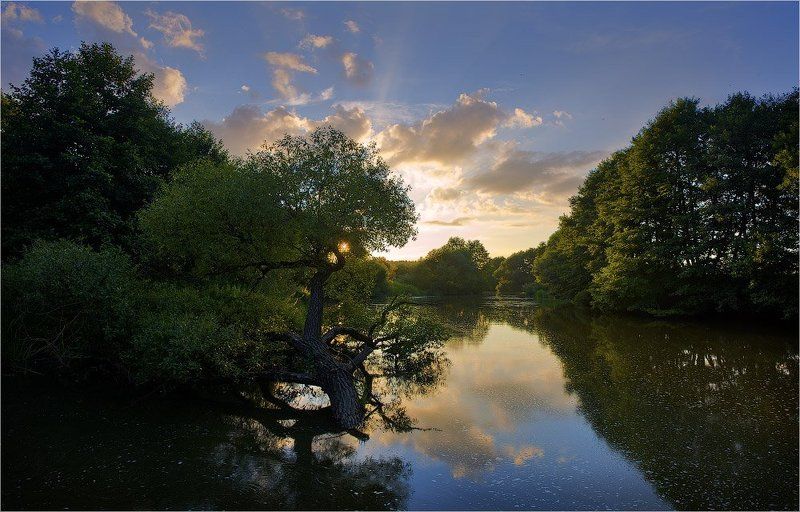 река, закат, дерево *photo preview