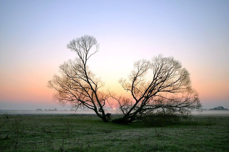 рассветphoto preview