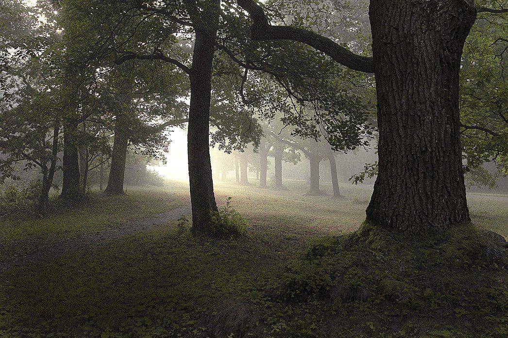 , Владимир Георгиевич