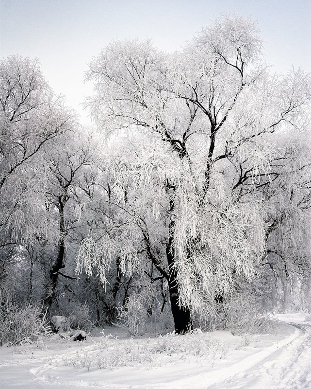 Локальная экологияphoto preview