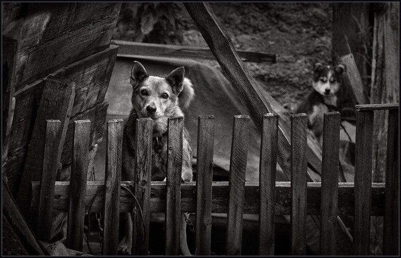 Люся & son ...photo preview