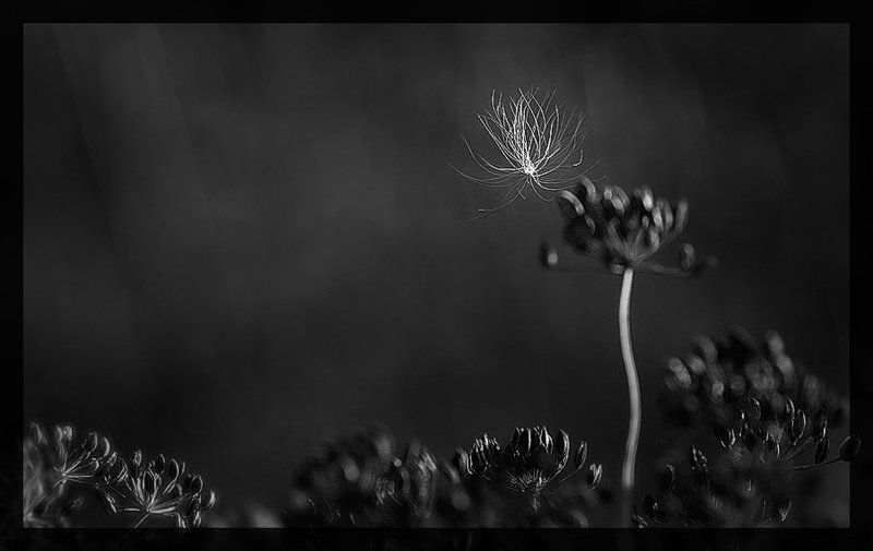 польоти у сні і наяву фото превью