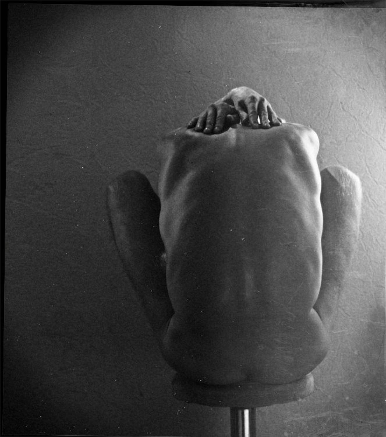 Soul of the body. Автор: Зуева Юля тело, человека, Зуева Юля