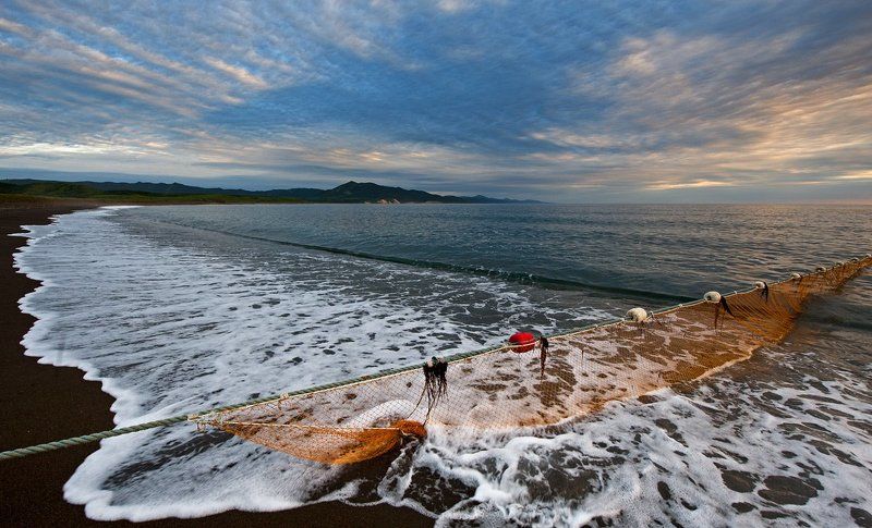 Путинаphoto preview