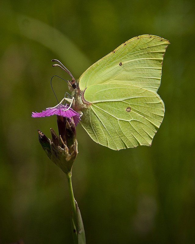 простые, вещи Воскресные прогулкиphoto preview