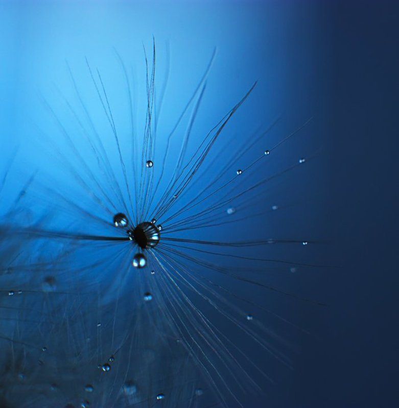 collapsephoto preview