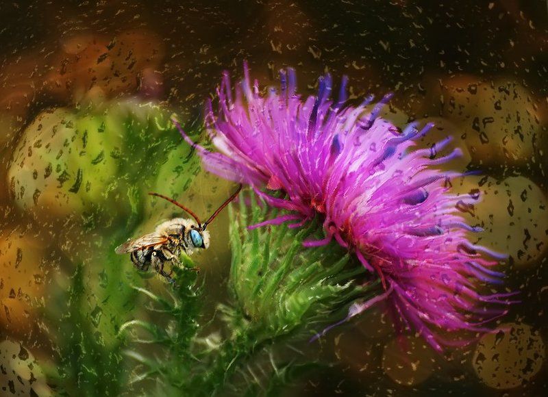 rare,  raisa rare,   лето,  розовые Явства маленькой мышки.photo preview