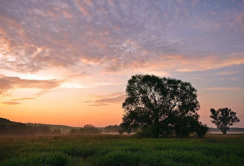 расвет, луг, туман рассветphoto preview
