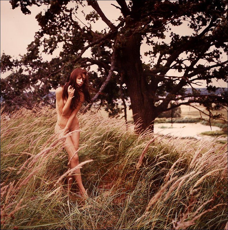 on the windy side ofphoto preview