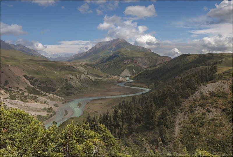 фотосафари, киргизия Киргизия в августе триphoto preview