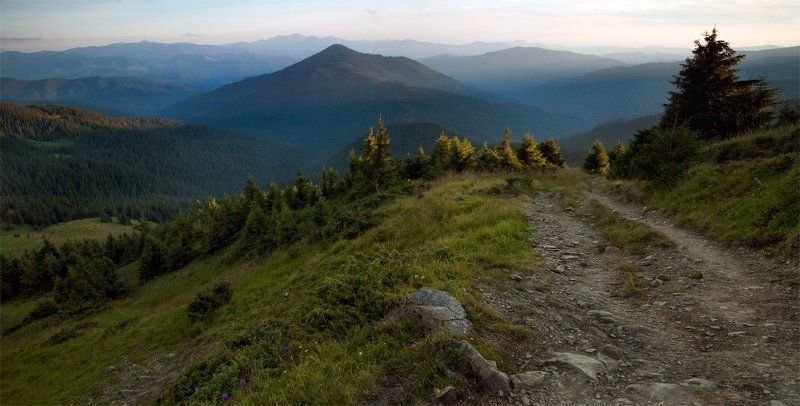 карпаты, природа, пейзаж, панорама, горы, вечер, тропа вечерняя тропаphoto preview