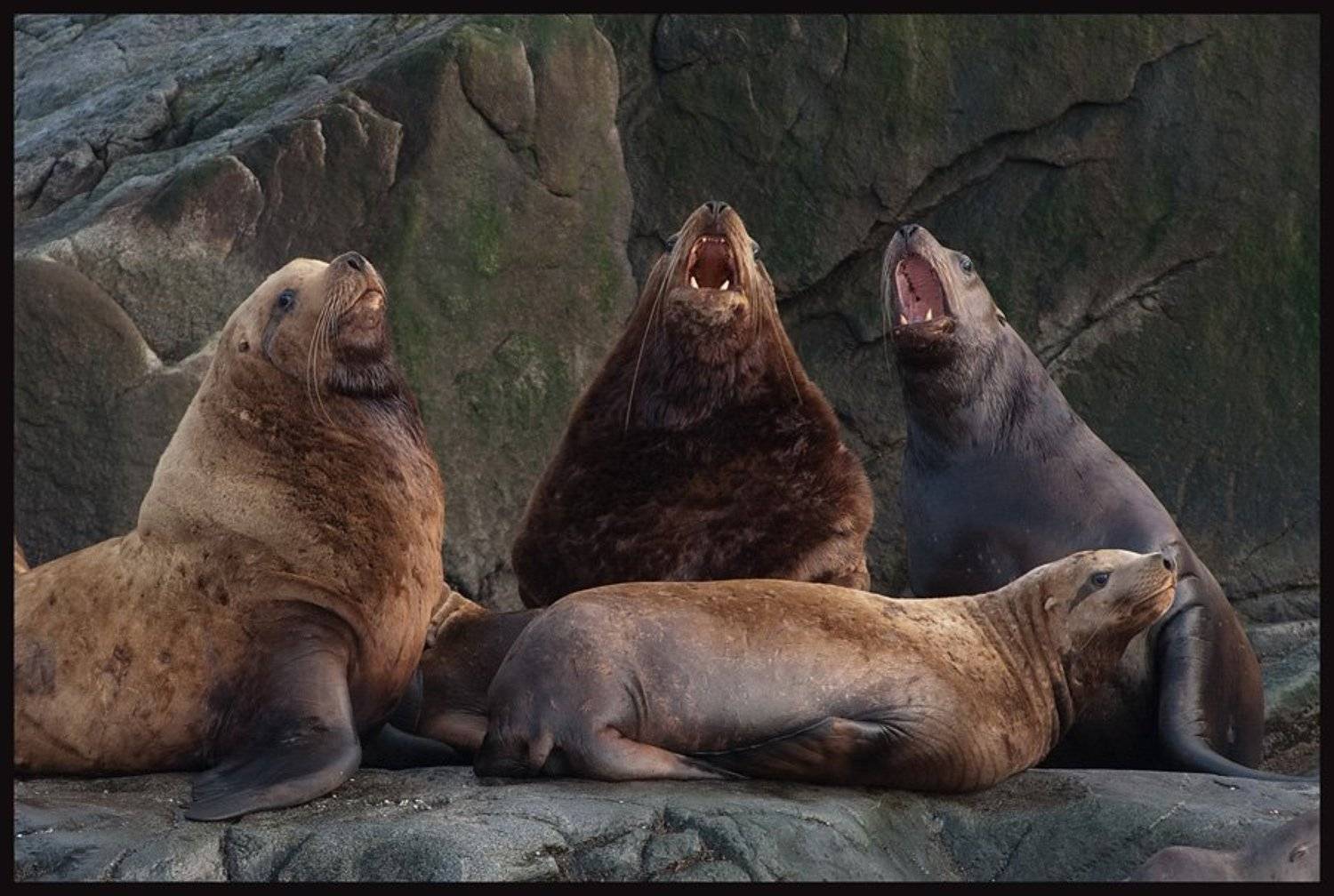 магаданская, область, Олег Рыдченко