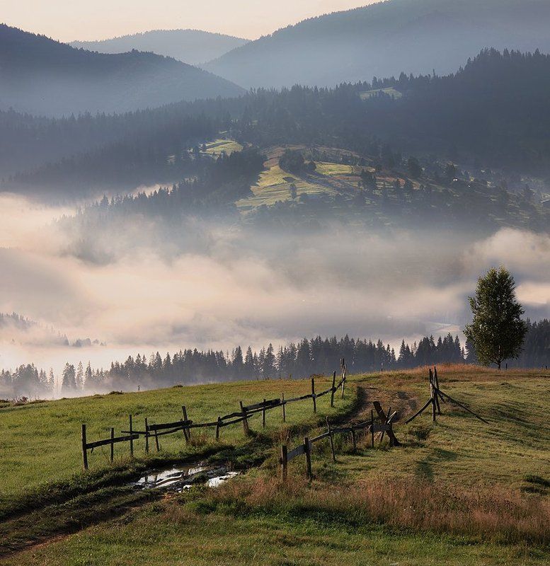 Тудойphoto preview