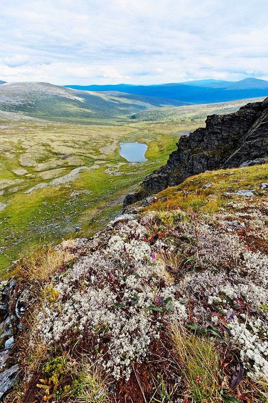 северный урал, 2011 Озеро последнего гусяphoto preview