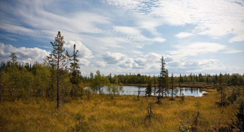 кольский, полуостров, лето, август Августовский день фото превью
