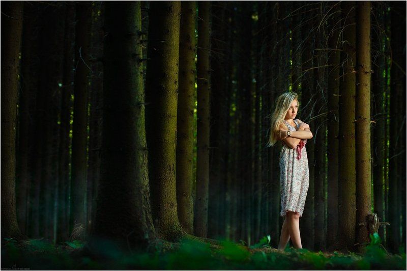 ели, лес, девушка ***photo preview