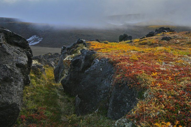 камчатка, осенние краски ландшафтный  дизайн       (автор Природа)photo preview