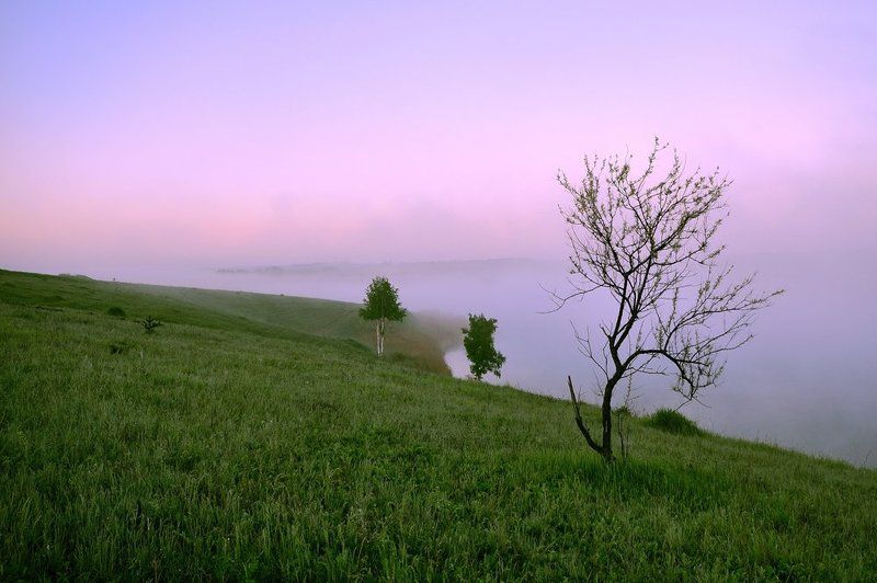 утро, туман, тишина туманphoto preview