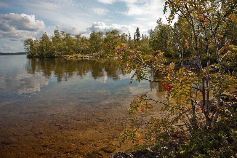 кольский, полуостров, озеро, рябина Водная гладь и ветвь рябины фото превью